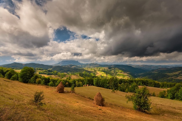 Paysage de montagne d'automne - arbres d'automne jaunis et rougis combinés avec des aiguilles vertes et un ciel bleu. Scène colorée de paysage d'automne dans les Carpates roumaines. Vue panoramique.