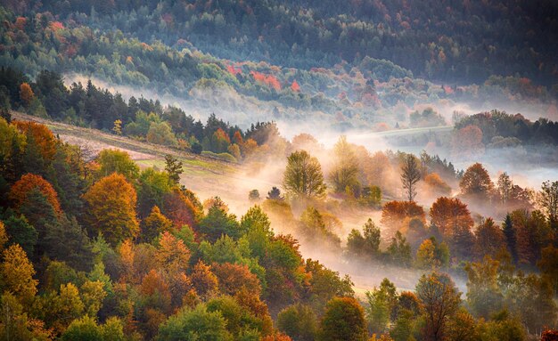 Paysage de montagne d'automne