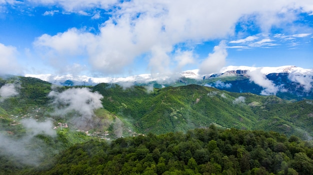 Paysage de montagne brumeuse avec forêt verte