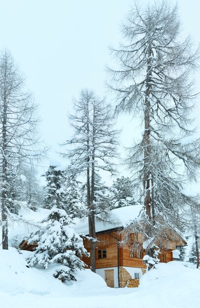 Paysage de montagne brumeux d'hiver et maison en bois dans la forêt