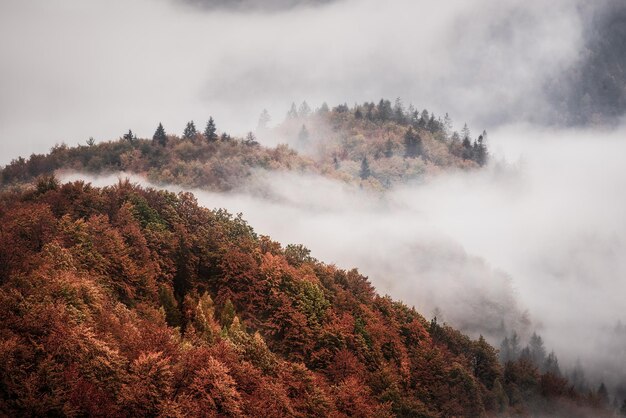 Paysage de montagne brumeux