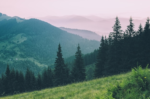 Paysage de montagne brumeux