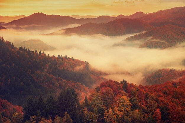 Paysage de montagne brumeux