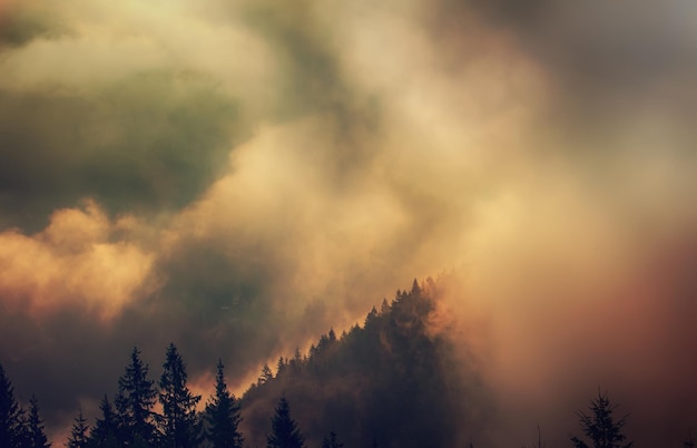 Paysage de montagne brumeux