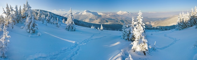 Paysage De Montagne Calme D'hiver Du Matin (mont Goverla, Montagnes Des Carpates, Ukraine). Quatre Clichés Piquent L'image.
