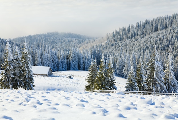 Paysage de montagne calme d'hiver avec des épinettes couvertes de givre et de neige avec un groupe de hangars près de la forêt