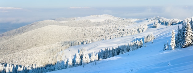 Paysage de montagne calme d'hiver