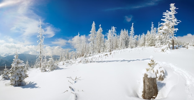 Paysage de montagne calme d'hiver