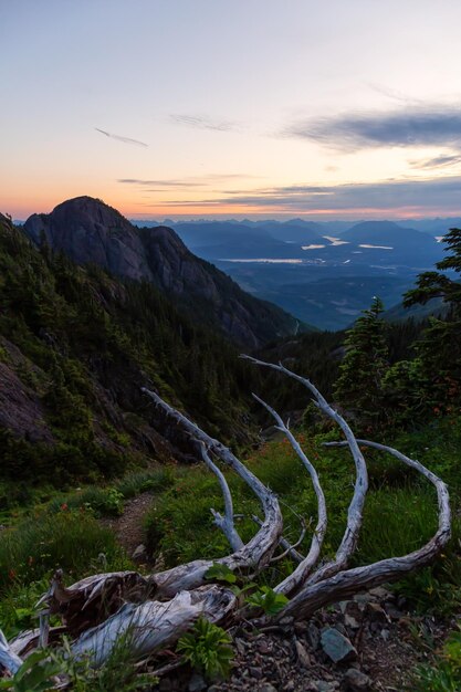 Paysage de montagne canadien lors d'un coucher de soleil d'été animé