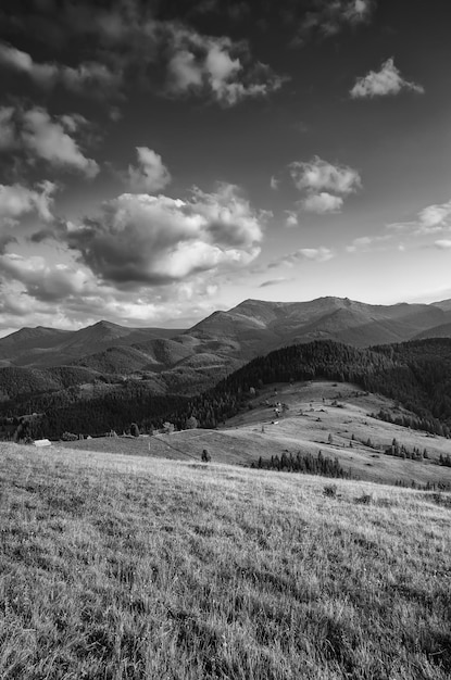 Paysage de montagne des Carpates