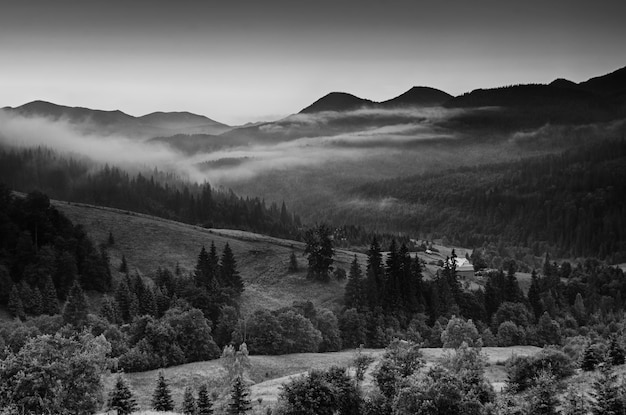 Paysage de montagne des Carpates