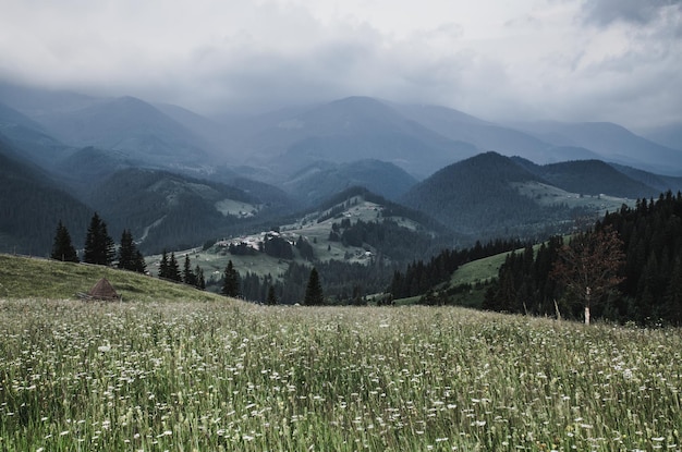 Paysage de montagne des Carpates