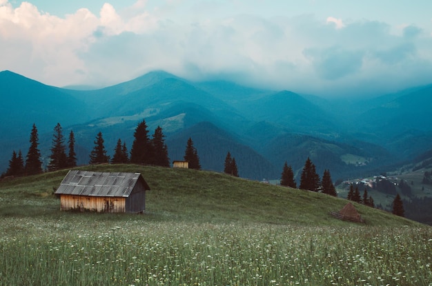 Paysage de montagne des Carpates