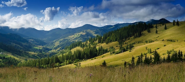 Paysage de montagne des Carpates