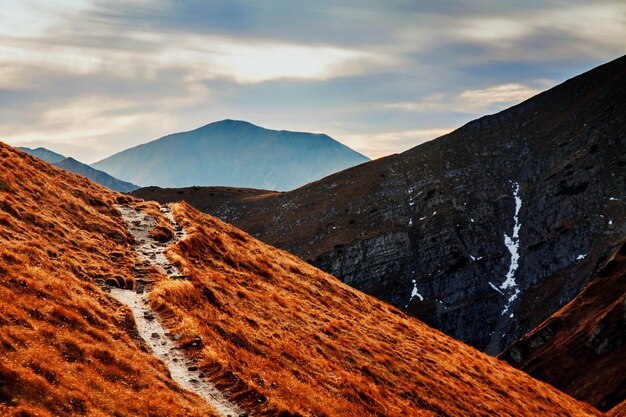 Paysage de montagne avec chemin rocheux