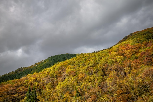 Un paysage de montagne avec un ciel nuageux et une montagne en arrière-plan