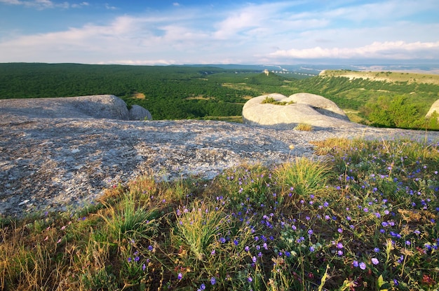 Paysage de montagne. Composition de la nature.