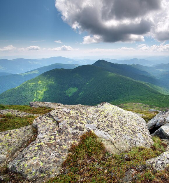 Paysage de montagne. Composition de la nature.