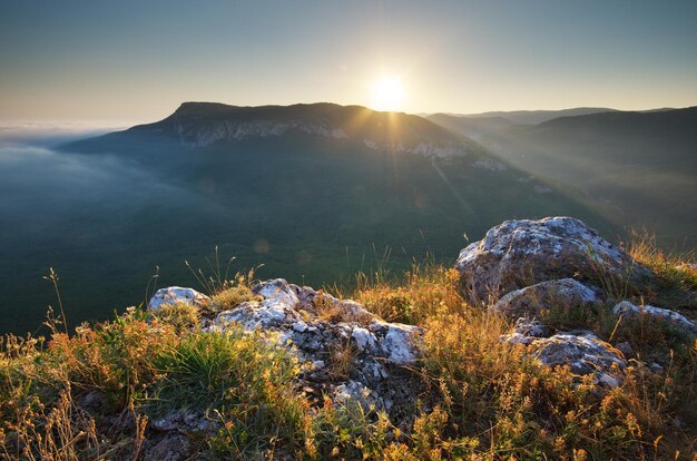 Paysage de montagne. Composition de la nature.