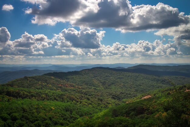 Paysage de montagne. Composition de la nature