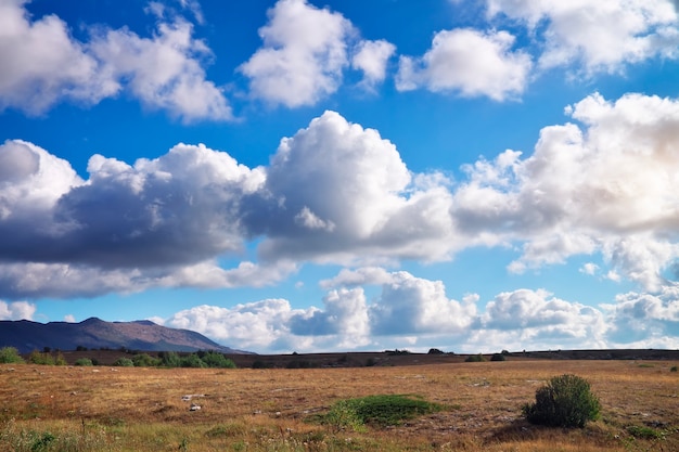 Paysage de montagne. Composition de la nature