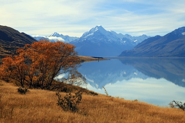 Paysage de montagne Cook avec son reflet du lac Pukaki