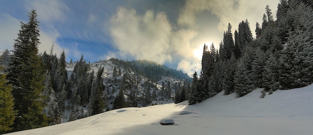 paysage de montagne à couper le souffle avec des sommets enneigés