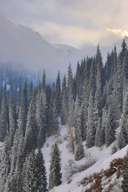 paysage de montagne à couper le souffle avec des sommets enneigés