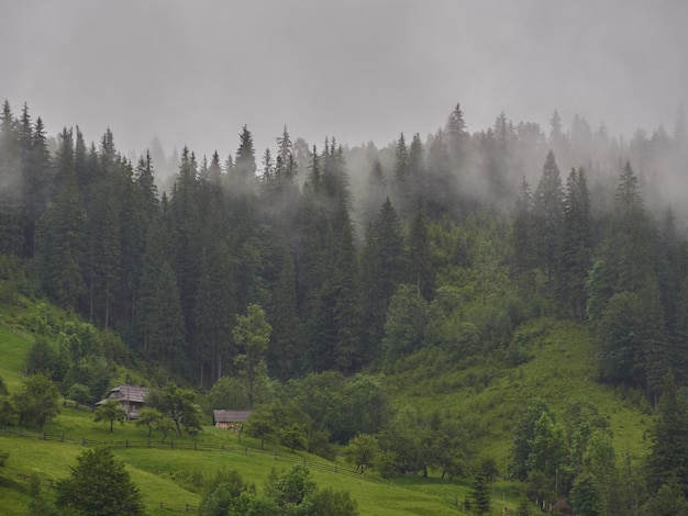 Paysage de montagne dans la maison de brouillard dans les montagnes