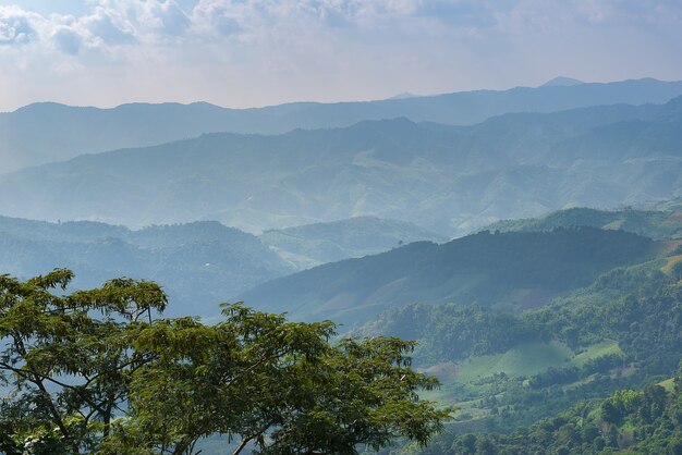 Paysage de montagne dans le meilleur moment