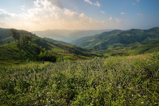 Paysage de montagne dans le meilleur moment