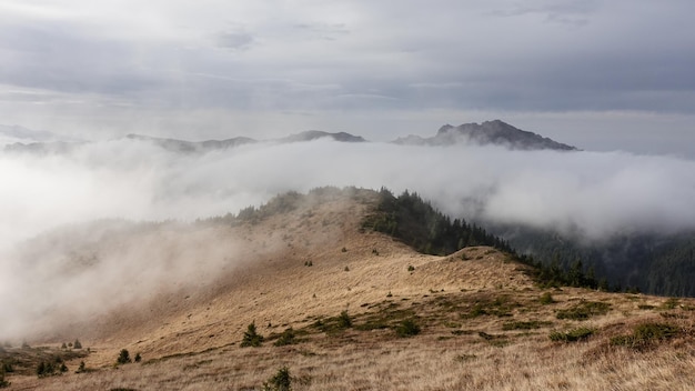 Paysage de montagne dans les montagnes de Ciucas en Roumanie