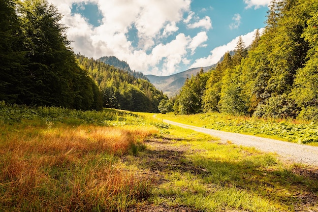 Paysage de montagne dans les montagnes de la vallée de Juranova dolina dans le parc national des Tatras occidentales Slovaquie oravice région d'Orava