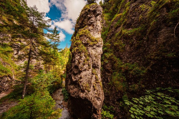 Paysage de montagne dans les montagnes de la vallée de Juranova dolina dans le parc national des Tatras occidentales Slovaquie oravice région d'Orava