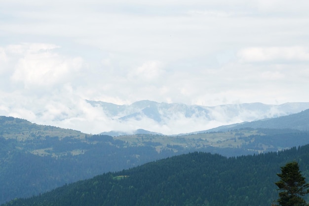 Paysage de montagne dans les nuages et la brume