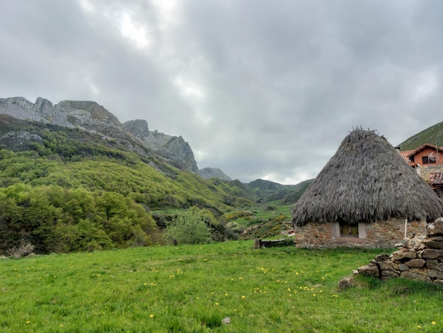 paysage de montagne dans les pics d'europe