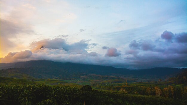 Paysage de montagne dans la province de Krabi en Thaïlande