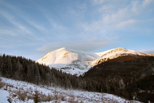 Paysage de montagne du matin d'hiver