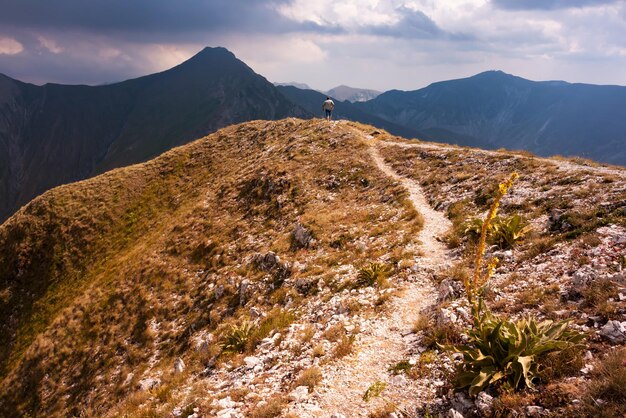 Paysage de montagne d'été belle nature en Italie