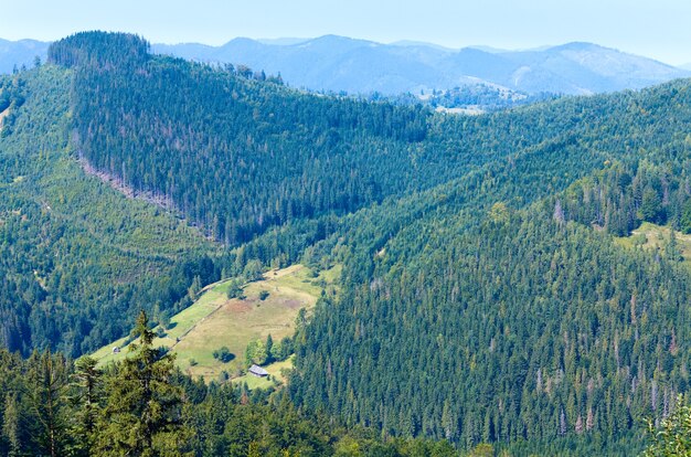 Paysage de montagne d'été avec forêt de sapins sur la pente