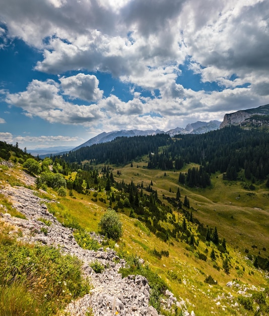 Photo paysage de montagne d'été pittoresque du parc national de durmitor monténégro europe balkans alpes dinariques patrimoine mondial de l'unesco