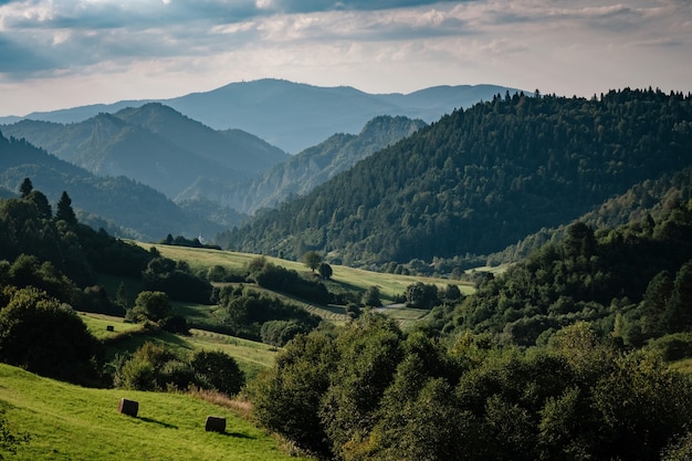 Paysage de montagne d'été en Slovaquie