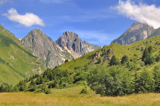 Paysage de montagne en été