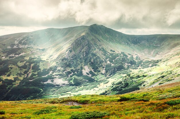 Paysage de montagne en été