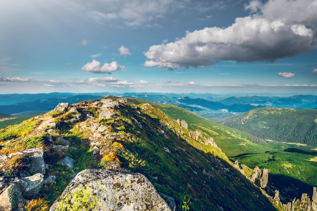 Paysage de montagne en été