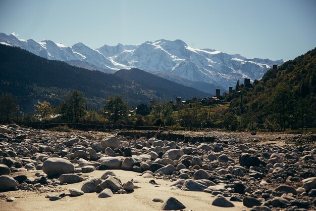 paysage de montagne faune rivière montagne photographie de montagne