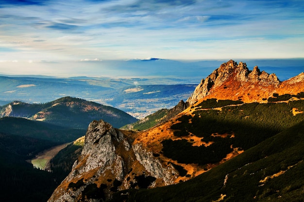 Photo paysage de montagne avec forêt d'arbres