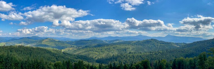 Photo paysage de montagne avec forêt dans les carpates d'ukraine