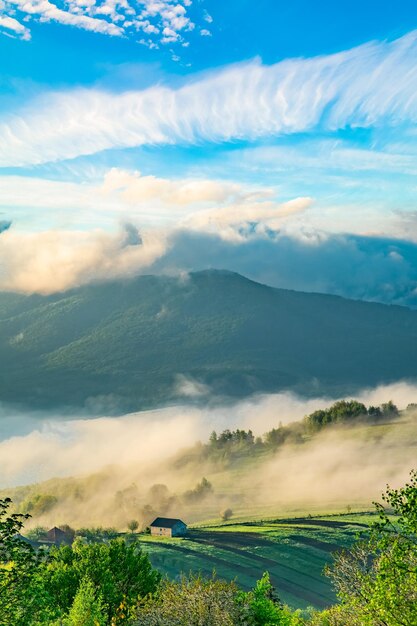 Paysage de montagne avec forêt et nuages Photo verticale de la montagne Paysage d'été avec arbres en fleurs et brouillard Randonnée dans les montagnes Campagne vue panoramique