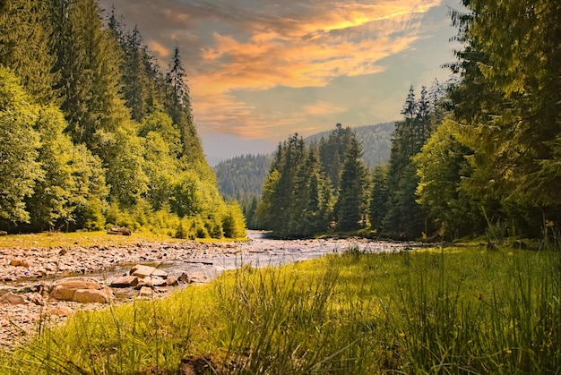 Paysage de montagne forêt et rivière devant au coucher du soleil dans des couleurs chaudes beau scénario fond naturel chaud